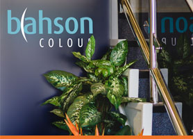 Bahson Colour Contact